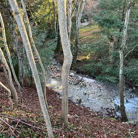 Havre De Paix A Deux Pas Du D'annecy